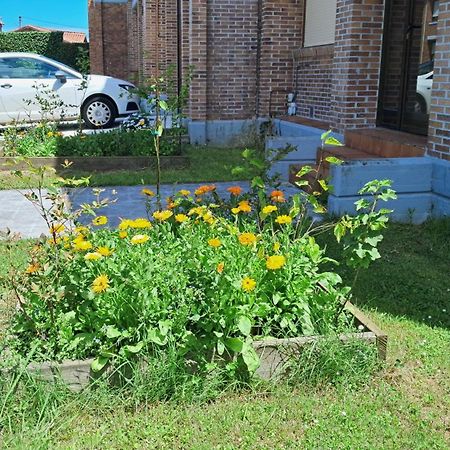 圣克鲁斯德韦萨纳Casa Grande Con Jardin别墅 外观 照片